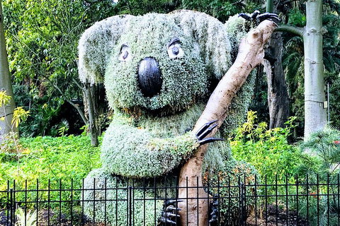 Discover Sydney - Botanic - Australian Directory 1