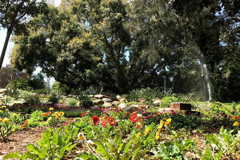 Discover Sydney - Botanic - Australian Directory 3