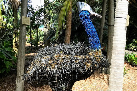 Discover Sydney - Botanic - Australian Directory 5