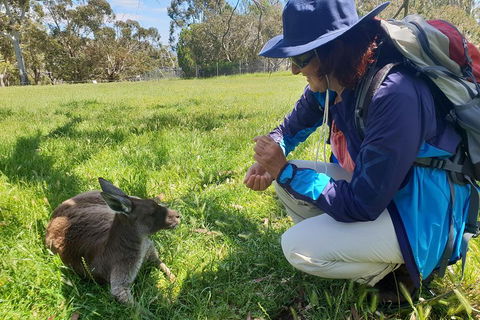 Mount Lofty Hike And Cleland Wildlife Park Day Trip From Adelaide - Australian Directory 1