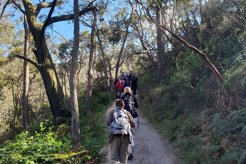 Mount Lofty Hike And Cleland Wildlife Park Day Trip From Adelaide - Australian Directory 3