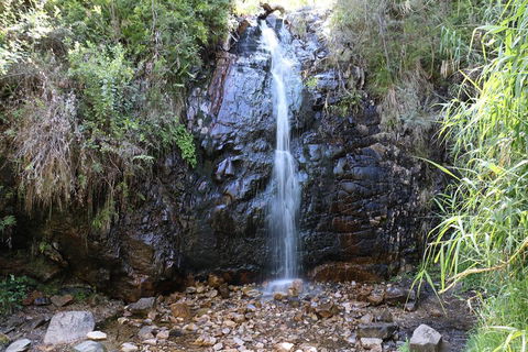 Mount Lofty Hike And Cleland Wildlife Park Day Trip From Adelaide - Australian Directory 4