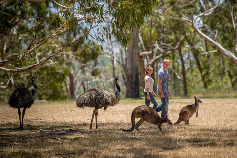 Mount Lofty Hike And Cleland Wildlife Park Day Trip From Adelaide - Australian Directory 5