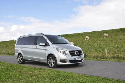 [Private Tour] â€œPenguin Paradeâ€ Phillip Island Tour. - Australian Directory 3