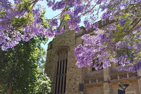 Cultural Caper Adelaide Walking Tour - Australian Directory 1