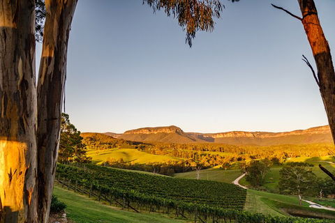 Taste Of The Blue Mountains - Lunch & Wine Tasting, Beer, Cider & Gin Tasting - Australian Directory 1