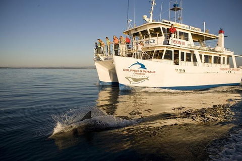 Jervis Bay Dolphin Watch Cruise - Australian Directory 3