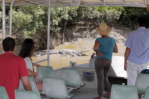 Whitsunday Crocodile Safari Including Lunch - Australian Directory 4