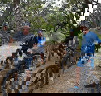 Fully guided E-Mountain Bike Tour on the beautiful Mornington Peninsula. - Australian Directory