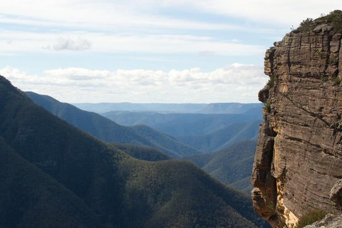 Inside The Greater Blue Mountains World Heritage - A Private Wildlife Safari Overnight - Australian Directory 4