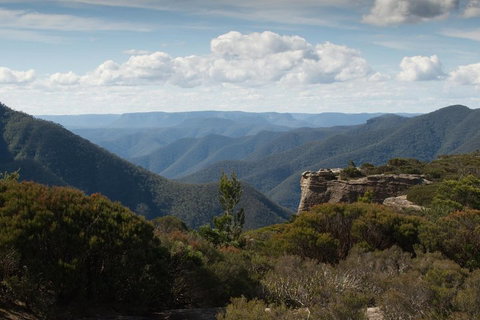 Inside The Greater Blue Mountains World Heritage - A Private Wildlife Safari Overnight - Australian Directory 5