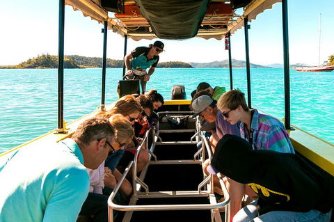 Airlie Beach Glass Bottom Boat Tour - Australian Directory 1