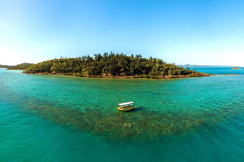 Airlie Beach Glass Bottom Boat Tour - Australian Directory 3