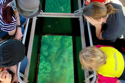 Airlie Beach Glass Bottom Boat Tour - Australian Directory 5