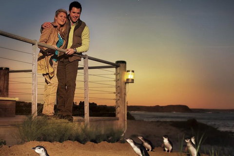 The Ultimate Melbourne Attractions Pass - Australian Directory 3