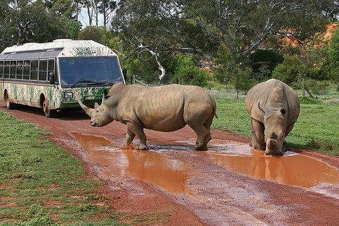 The Ultimate Melbourne Attractions Pass - Australian Directory 4