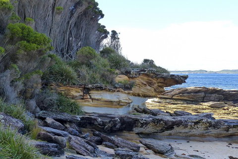 Day Trip To Cronulla & The Royal National Park - Australian Directory 4