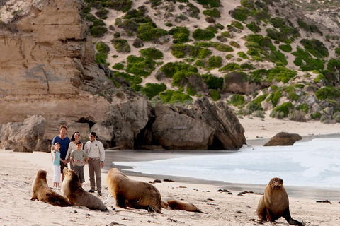 Kangaroo Island Scenic Trail Tour - Australian Directory 5
