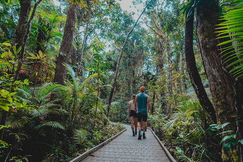 Full Day Cooktown Private Tour - Australian Directory 0