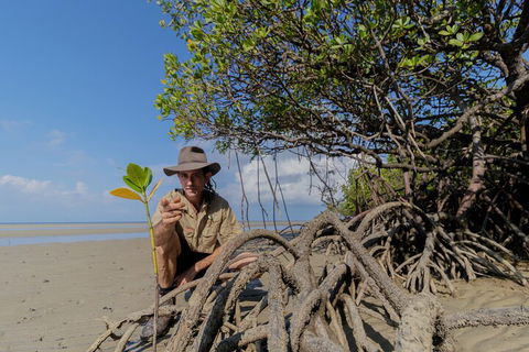 Full Day Cooktown Private Tour - Australian Directory 2