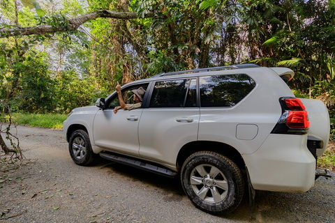 Full Day Cooktown Private Tour - Australian Directory 3