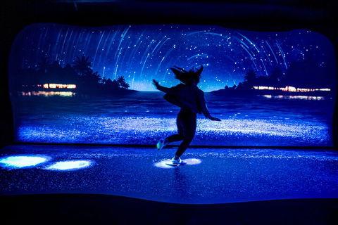 SEA LIFE Sydney Aquarium Entrance Ticket - Australian Directory 3
