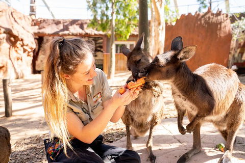 WILD LIFE Sydney Entrance Ticket - Australian Directory 5
