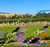 Private Picnic and Wine Tasting Experience in Barossa Valley - Australian Directory