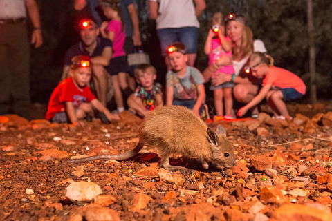 Alice Springs Desert Park Nocturnal Tour - Australian Directory 1