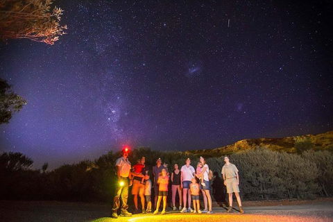 Alice Springs Desert Park Nocturnal Tour - Australian Directory 2
