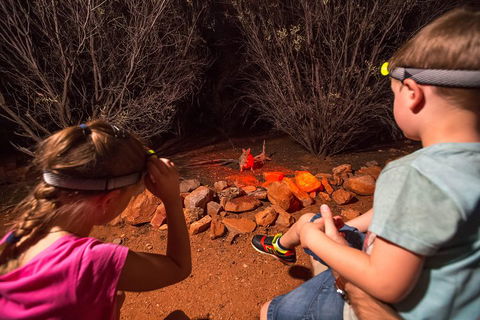 Alice Springs Desert Park Nocturnal Tour - Australian Directory 4