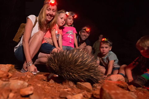 Alice Springs Desert Park Nocturnal Tour - Australian Directory 5