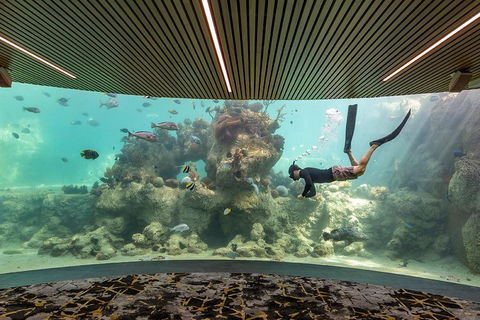 Whitehaven Beach And Daydream Island Cruise - Australian Directory 4