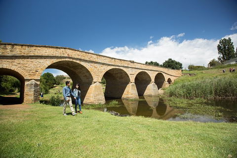 Bonorong Wildlife Park And Richmond Afternoon Tour From Hobart - Australian Directory 2