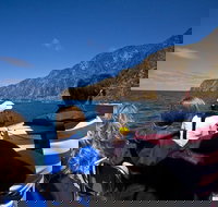 Seal Island Boat Tour from Victor Harbor - Australian Directory