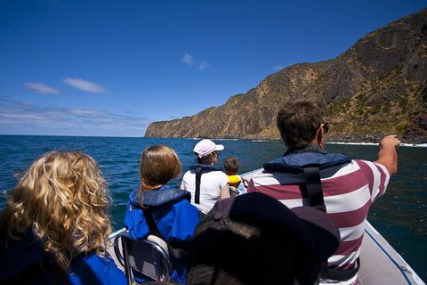 Seal Island Boat Tour From Victor Harbor - Australian Directory 0