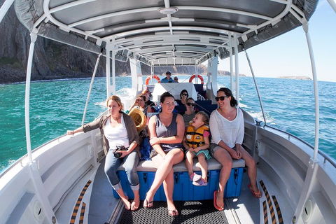 Seal Island Boat Tour From Victor Harbor - Australian Directory 1