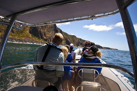 Seal Island Boat Tour From Victor Harbor - Australian Directory 2
