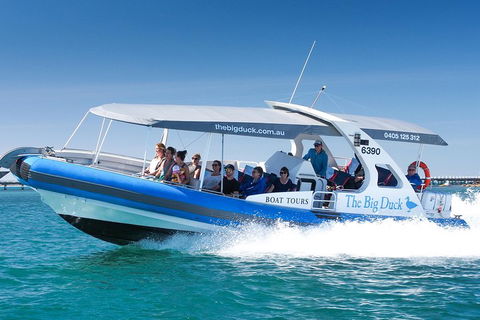 Seal Island Boat Tour From Victor Harbor - Australian Directory 3