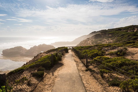 Mornington Peninsula Day Trip From Melbourne - Australian Directory 4
