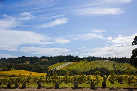 Mornington Peninsula Day Trip From Melbourne - Australian Directory 5