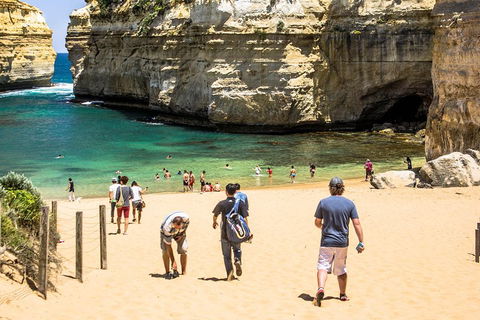 Small-Group Great Ocean Road Classic Day Tour From Melbourne - Australian Directory 5