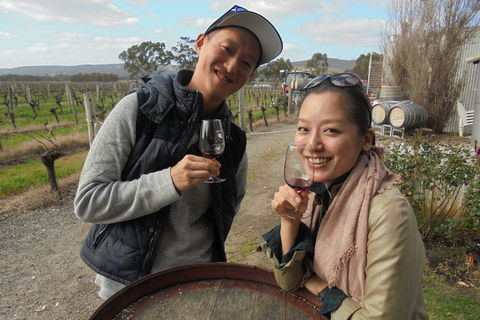 Swan Valley River Cruise And Wine Tasting Day Trip From Perth - Australian Directory 0