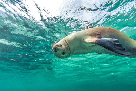 10-Day Adelaide To Perth Adventure Tour - Australian Directory 1