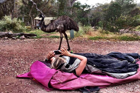 6 Day Esperance & Margaret River Adventure Tour - Australian Directory 5