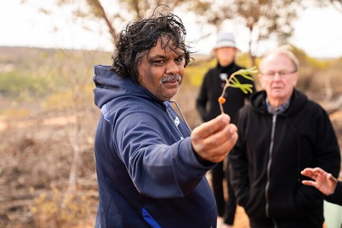 7-Night Murraylands And Wildlife Cruise - Australian Directory 4
