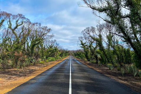 2 Day Ultimate Kangaroo Island With Return Ferry - Australian Directory 4