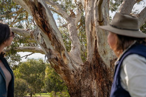 NEW TOUR - Kangaroo Island Road To Recovery Tour (1 Day/1 Night) - Australian Directory 0