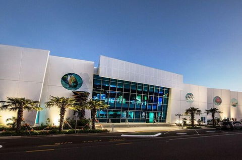 Cairns Aquarium Admission Ticket - Australian Directory 4