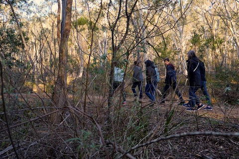 Wild Australian Wildlife 4WD Tour From Sydney - Australian Directory 0